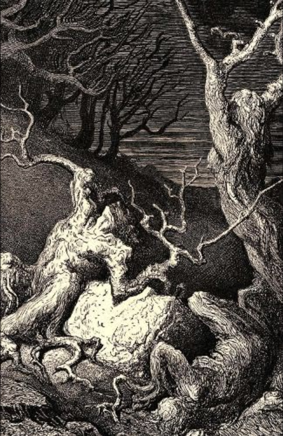 Unquiet Grove (Hardcover)