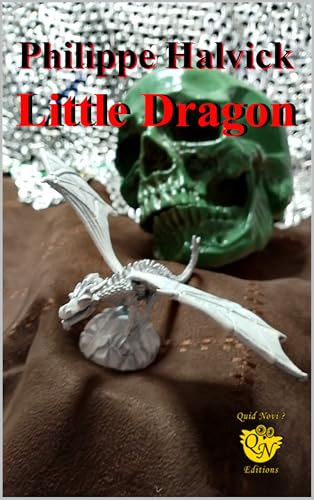 Little Dragon (Kindle Edition)