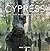 Cypress: The Last Old-Growth Swamps