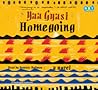 Homegoing