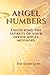 Angel Numbers: Unlocking the Secrets of Your Divine Angel Messages