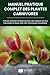 Manuel Pratique Complet des Plantes Carnivores: Culture, Entretien et Reproduction des Espèces les Plus Courantes et Rares avec des Techniques ... et Jardinage Pratique) (French Edition)