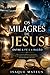 Os Milagres de Jesus - Entre a Fé e a Razão: Uma análise bíblica, científica e histórica dos acontecimentos que mudaram o mundo (Portuguese Edition)