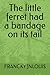 The little ferret had a bandage on its tail