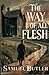 The Way of All Flesh: A Classic Novel of Victorian Rebellion