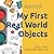 My First Real World Objects