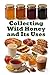 Collecting Wild Honey and Its Uses