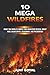 10 Mega Wildfires: What the World’s Worst Fire Disasters Reveal About Risk, Blind Spots, Reckoning, and Prevention (Megawildfires: Investigations from Space)