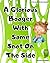 A Glorious Booger With Some Snot On The Side (Kid's Books By Zachary Phillips)