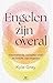 Engelen zijn overal: Inspir...