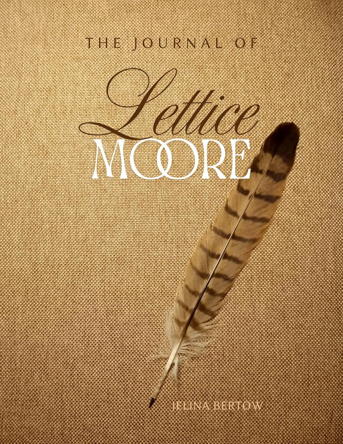 Read The Journal of Lettice Moore