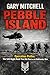 PEBBLE ISLAND: Operation Prelim: The SAS Night Raid That Hit First in the Falklands War (SAS: A History of the Regiment)
