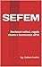 SEFEM: Decisioni veloci, regole chiare e burocrazia all’IA (Italian Edition)