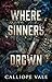 WHERE SINNERS DROWN: A Dark...