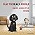 Olaf the Black Poodle Makes a New Little Friend