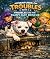 Troubles and the Rainy Day ...