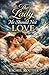 THE LADY HE SHOULD NOT LOVE: A Steamy Pride and Prejudice Variation (pride and prejudice variations and sequels new releases clean regency Book 4)
