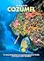Au cœur de COZUMEL: Un voyage photographique sous-marin dans la péninsule du Yucatán, au Mexique (VOYAGES PHOTOGRAPHIQUES SOUS-MARINS) (French Edition)