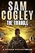 The Triangle (Penumbra Divi...