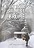 Un jour de neige et de brume