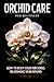 Orchid Care for Beginners: How to Keep Your Orchids Blooming Year-Round