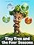 Tiny Tree and the Four seasons