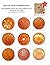 The Ten Cash Commentary: The General Issue Ten Cash Coins of the Republic of China (Second Edition)