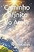 Caminho Infinito do Amor (Espiritismo) (Portuguese Edition)