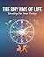 The Rhythms Of Life: Unveiling Our Inner Timings
