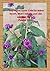 Royal Bloom of Grace-Wall Art Bible Verse