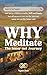 Why Meditate - The Inner-net Journey by Tejash Shah