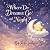 Where Do Dreams Go at Night?