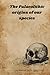 The Palaeolithic Origins of Our Species