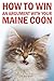 How to Win an Argument with Your Maine Coon: A Hilarious Guide for Maine Coon Cat Owners Who Know They're Losing Anyway