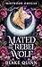 Mated to the Rebel Wolf by Blake Quinn