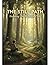The Still Path: Nurturing The Reflective Child