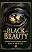 Black Beauty: Illustrated Edition Adapted for Young Readers