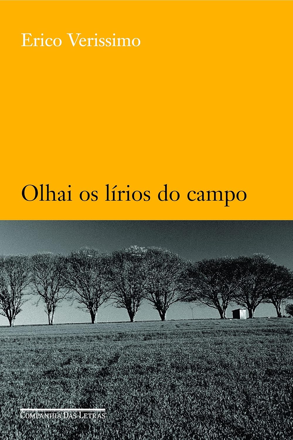 Olhai os lírios do campo (Paperback)