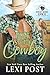 Rock Steady Cowboy (Rocky Road Ranch Book 5)