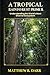 A TROPICAL RAINFOREST PRIMER