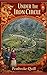 Under the Iron Circle: A Story of Love, Sacrifice, and the 3,000 Chinese Laborers History Left Behind”