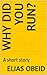 Why did you run?: A short story