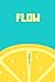 FLOW (Portuguese Edition)