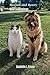Benson and Henry: New Beginnings