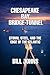 Chesapeake Bay Bridge–Tunnel: Storm, Steel, and the Edge of the Atlantic (The Great Crossings)