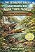 THE STINKPOT SAGA: MASTERING THE MUSK TURTLE WORLD: Transforming Aquatic Vivariums into Thriving Ancient Ecosystems