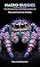 Macro-Buddies: The Psychology and Enrichment of Designer Jumping Spiders