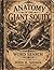 ANATOMY OF THE GIANT SQUID WORD SEARCH: FROM MYTH TO REALITY (Savage Anatomy)