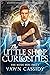 The Little Shop of Curiosities by Vawn Cassidy