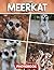 Meerkat Photo Book: Picture Collection For Adults With Dementia And Alzheimer’s Patients – Adorable Meerkat Images Capturing Playful And Curious Moments